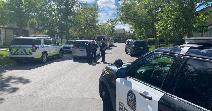 Police investigating deaths of woman and child in northeast Calgary