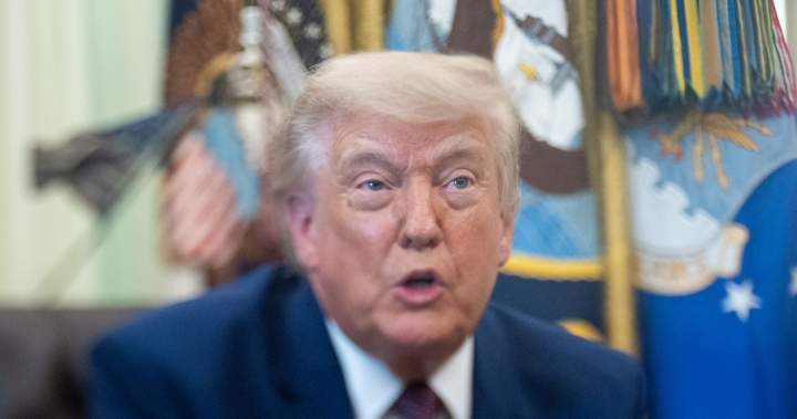 What we know about Trump’s forced labour claims against Canada - National