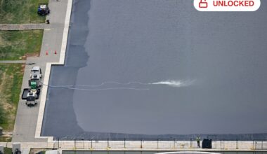 Algae in the Reflecting Pool and Uncertainty in Iran