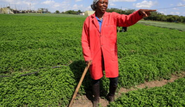 Solar-powered cold storage is boosting incomes for African farmers