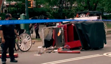 New York leaders push to ban horse carriage industry after Indian teen's death