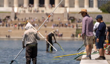Trump alleges vandalism at Reflecting Pool project, says 6 arrested