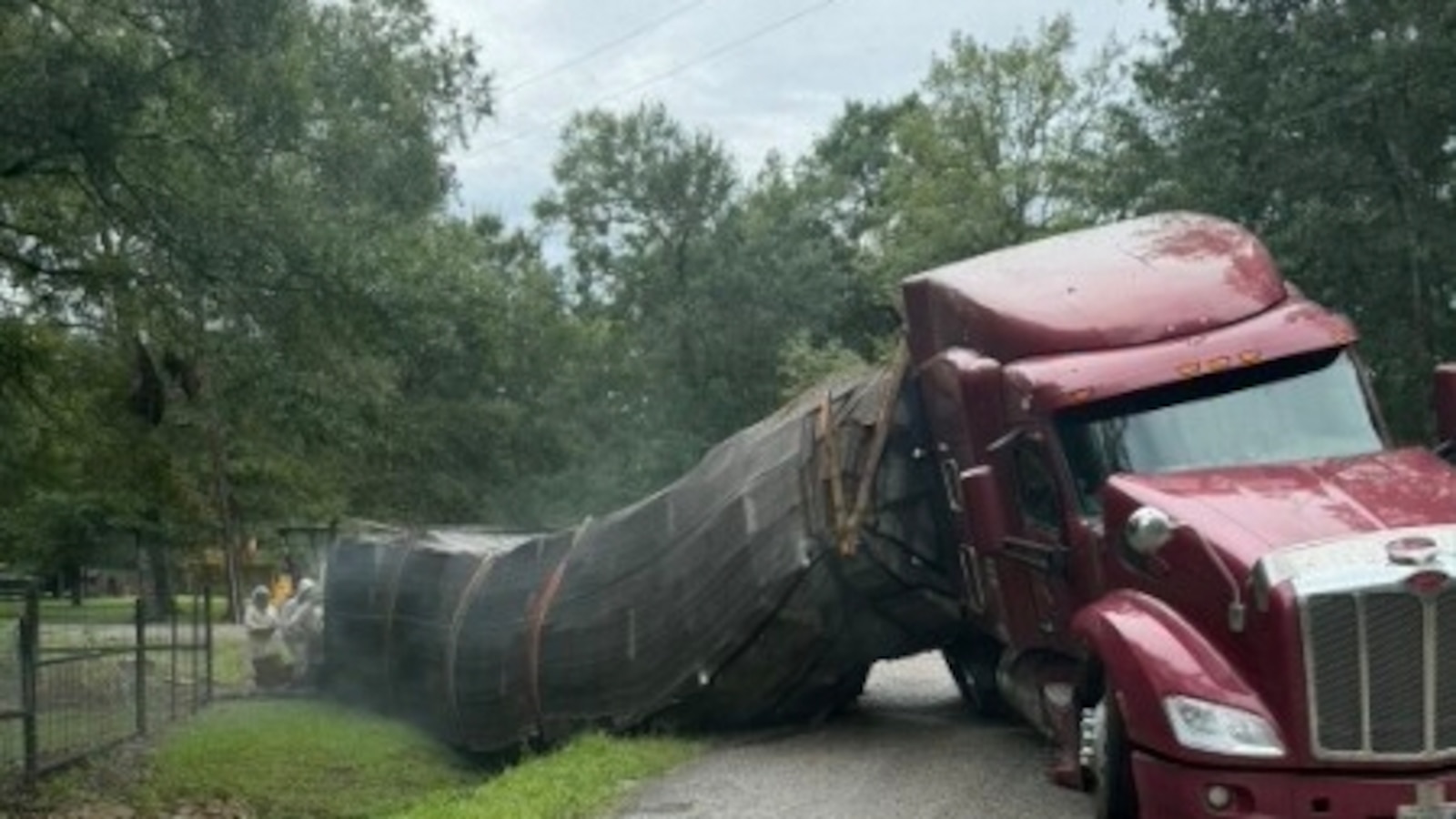Millions of honeybees escape into a Texas neighborhood after a semitrailer crash