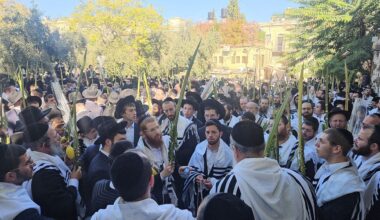 The Blogs: Dear Haredim | Judy Halper