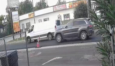 Videos Shed Light on Pursuit Before ICE Killing in Houston