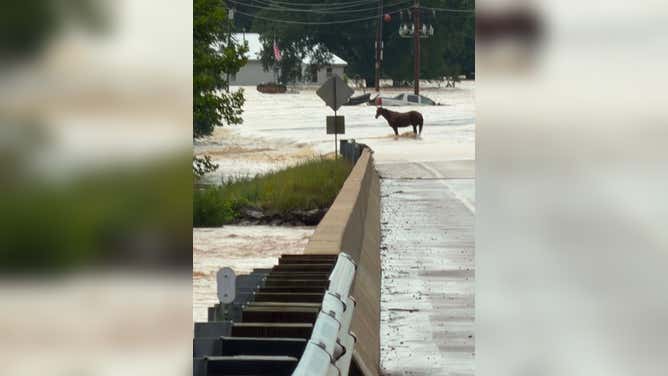 A horse stands in flooding with a truck sinking behind it in Lesterville, MO.