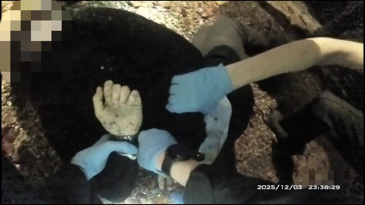 Footage showed Nowak being handcuffed during the incident in December