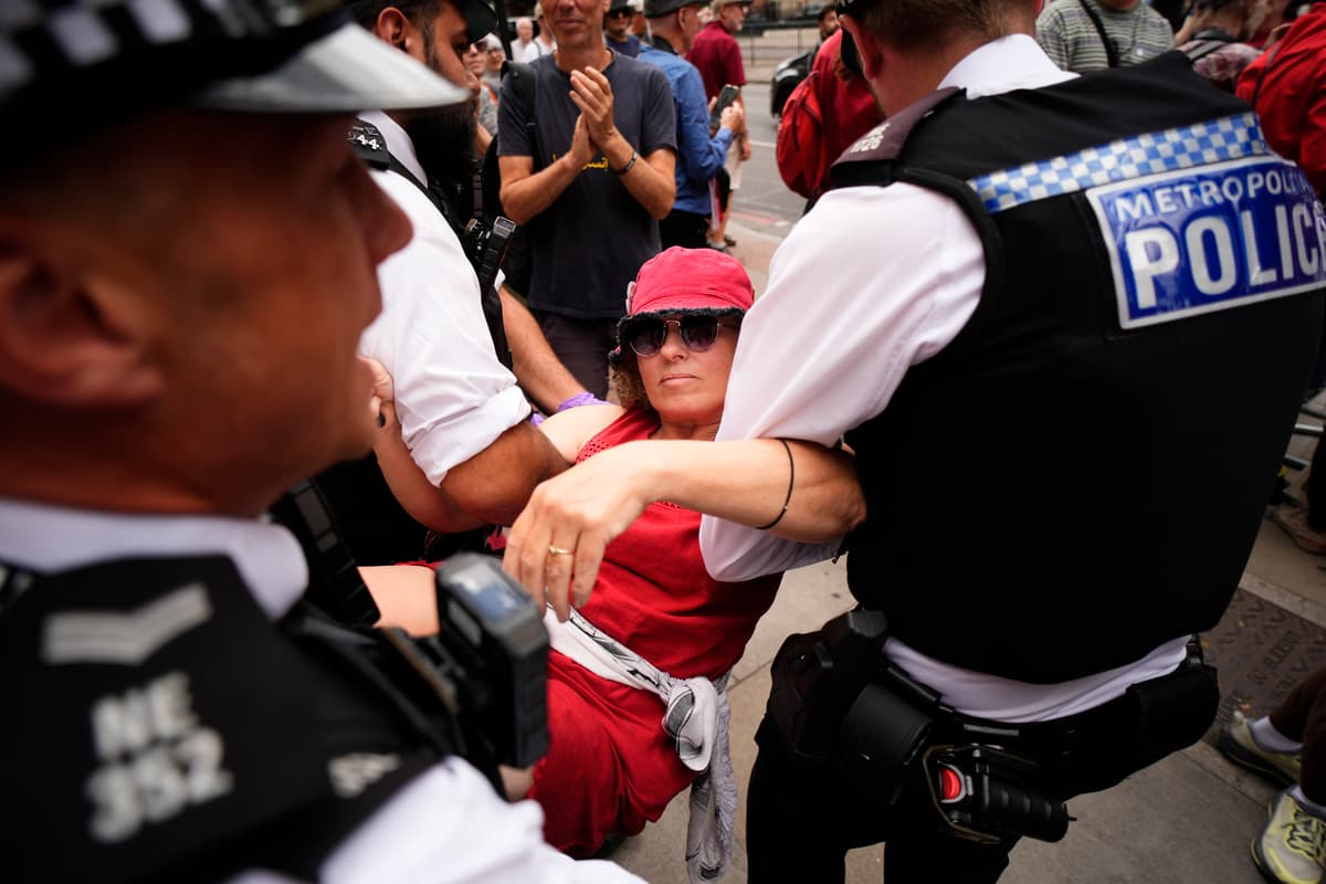 Scores arrested at London Palestine Action demo as founder told she can challenge ban - London Evening Standard