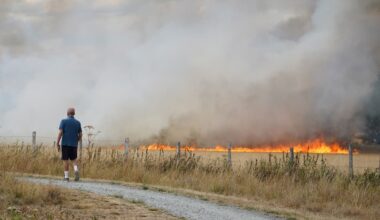 New wildfires rage in east London after firefighters suffer busiest day of the year - London Evening Standard