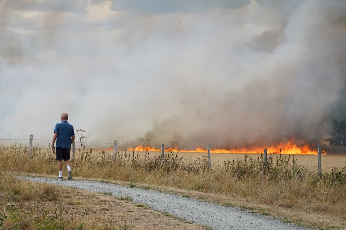 New wildfires rage in east London after firefighters suffer busiest day of the year - London Evening Standard
