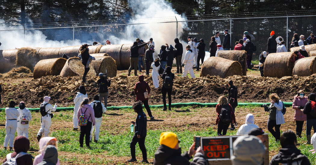 Dozens Face Felony Charges After Raid of Beagle Research Facility