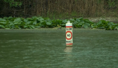 ‘Partial head’ found in Fox River in McHenry County: Coroner – NBC Chicago