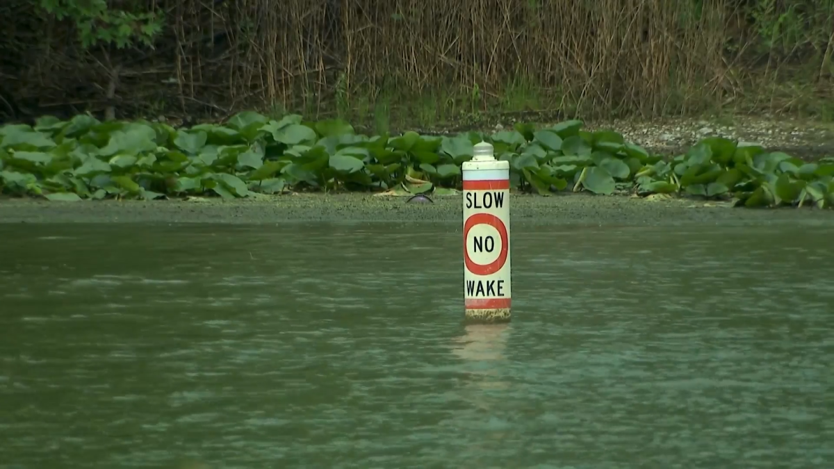 ‘Partial head’ found in Fox River in McHenry County: Coroner – NBC Chicago