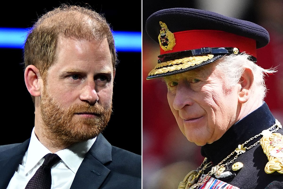 Prince Harry and King Charles