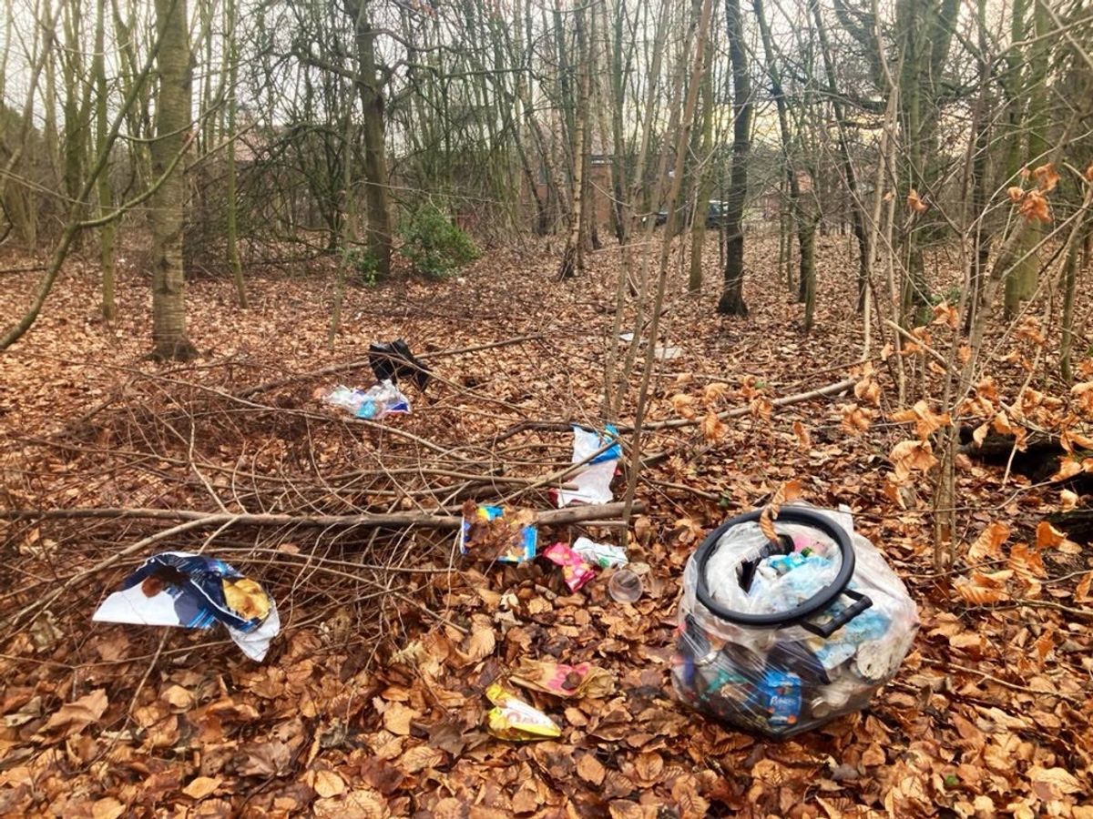 Sefton Park is another hotspot for littering and dumping after periods of hot weather