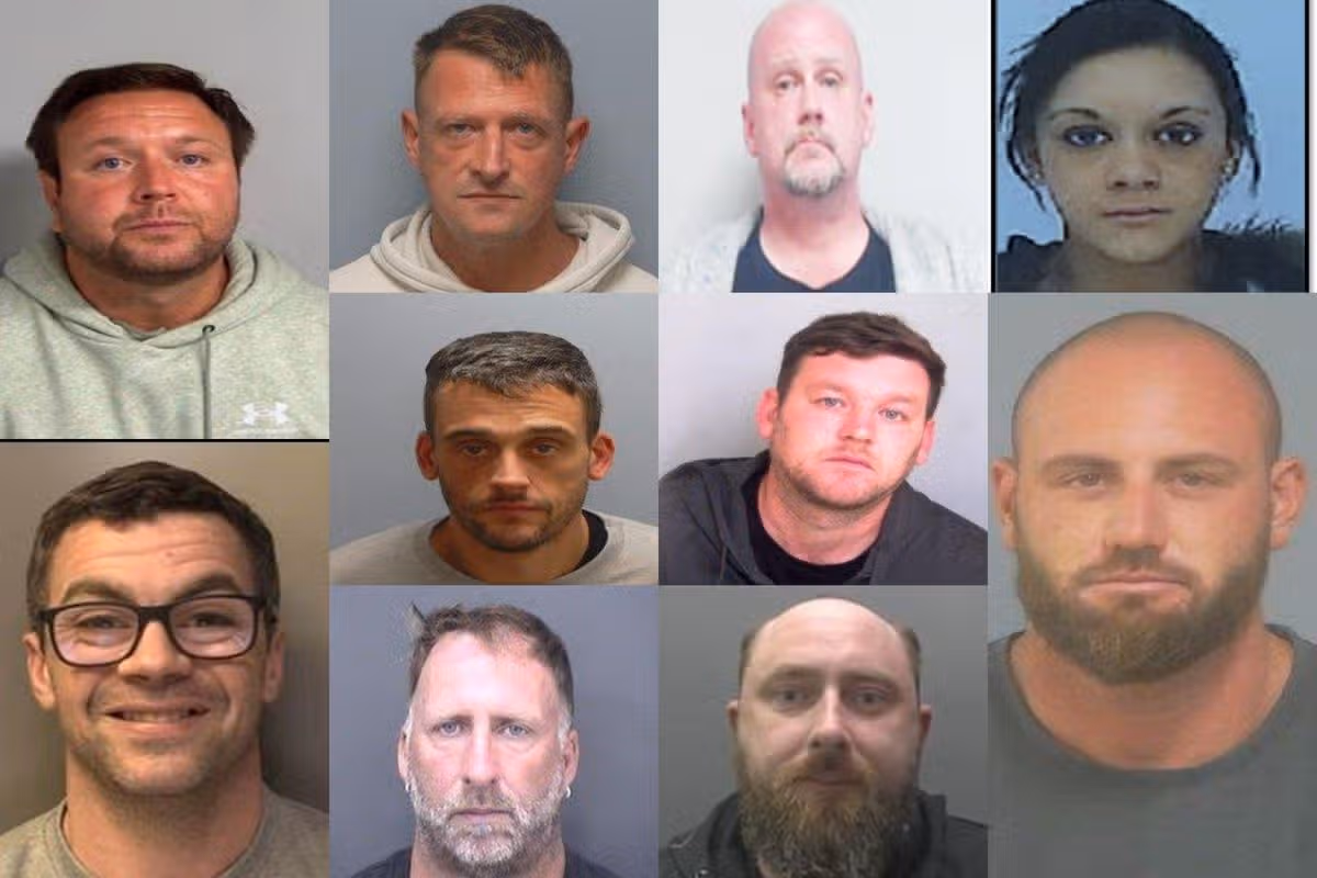 Members of the OCG: Daniel Jamieson (top left), Adil Nolan (bottom left), Roy Harmer (top middle left), David Paterson (top middle right), Neil Pinchbeck (middle left), Lewis Watts (middle right), Ricky Platt (bottom middle left), Thomas Stewart (bottom middle right), Sam Brown (bottom right)