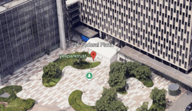 Man with airsoft guns lit fireworks by NYC immigration court: MS NOW
