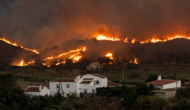 A Wildfire Killed 12 People in Southern Spain. Here’s the Latest.