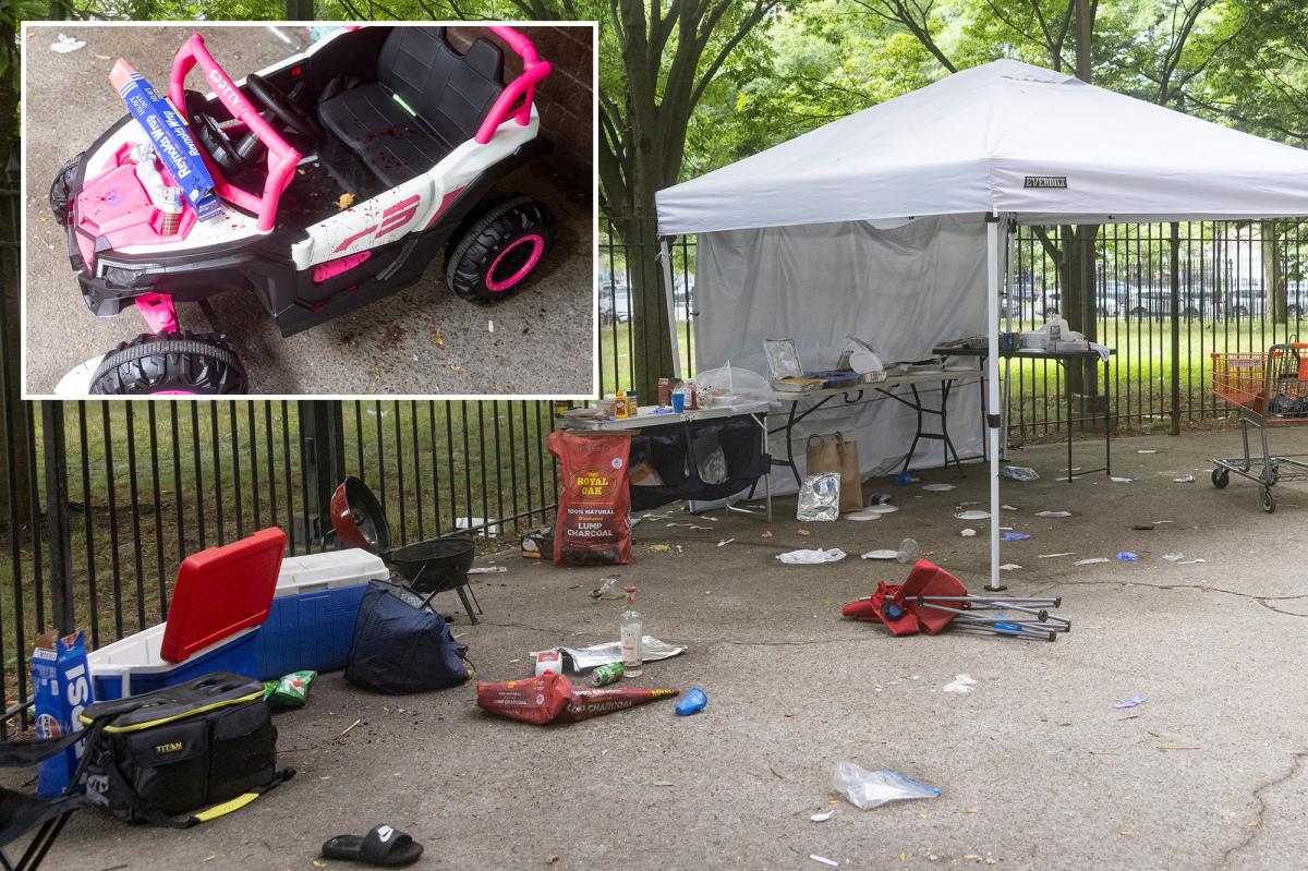 Coney Island mass shooting may have been gang retaliation: 'They aimed for babies'