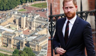 Prince Harry's Buckingham Palace invite 'withdrawn at the last moment'