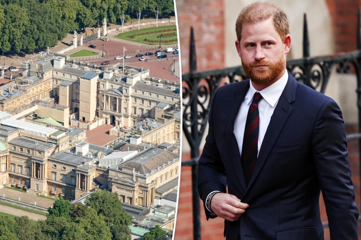 Prince Harry's Buckingham Palace invite 'withdrawn at the last moment'