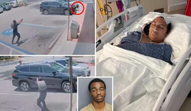 Bullet stuck in head of Florida girl after stray gunfire rips through McDonald's parking lot