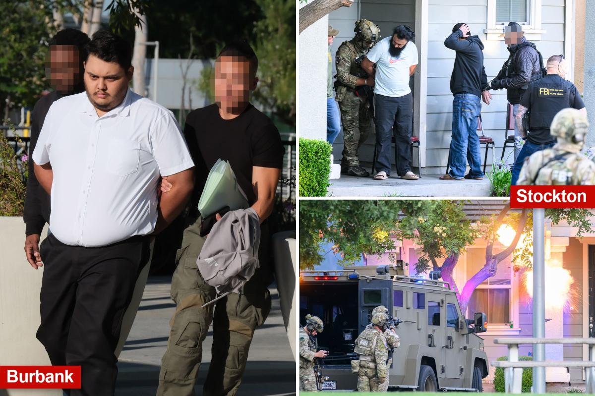 Murderous Bishnoi Gang wiped out in mass raids across California after 'barbaric' assassination spree