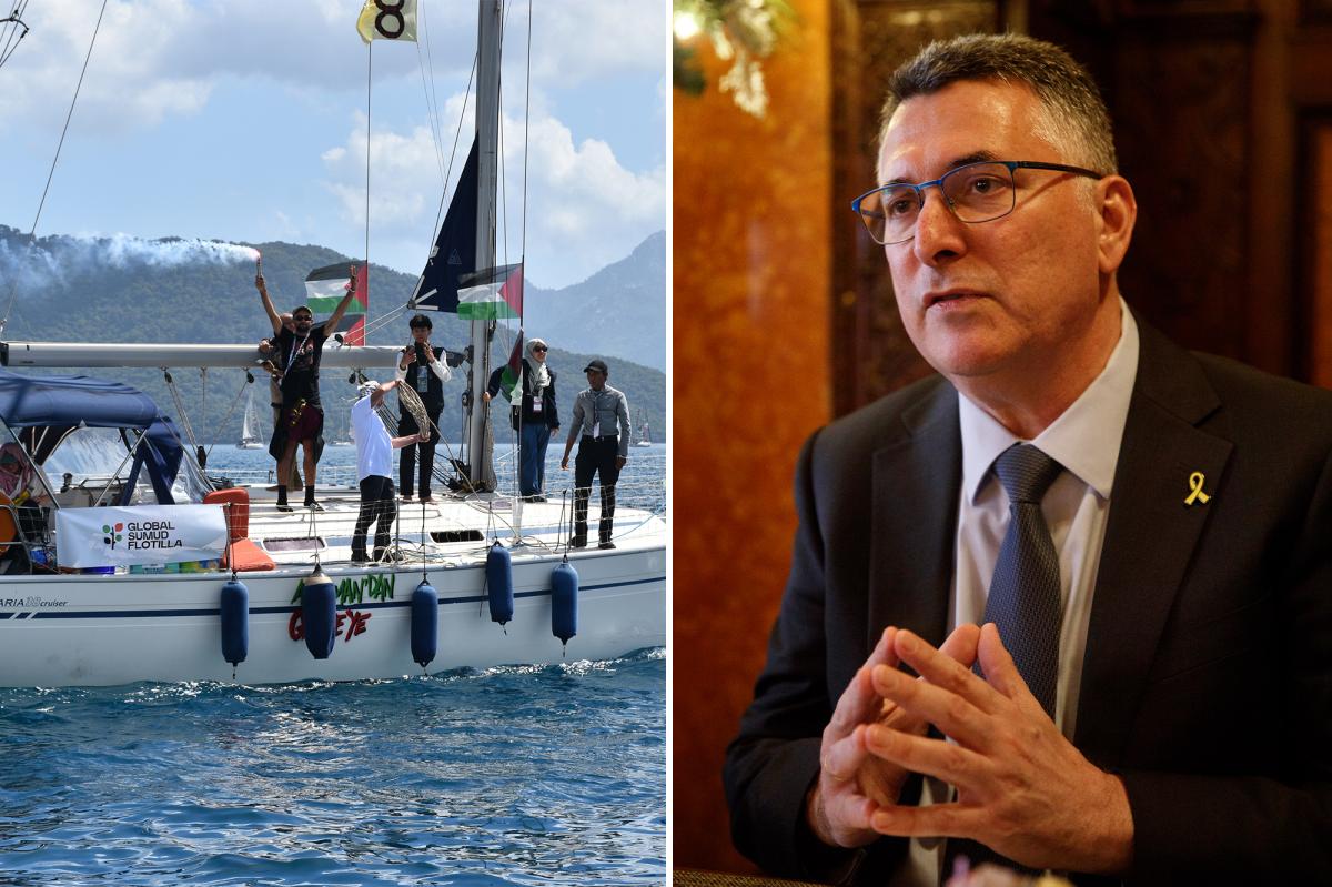 Gaza flotilla operated by Hamas and Muslim Brotherhood via shell companies: Israeli FM