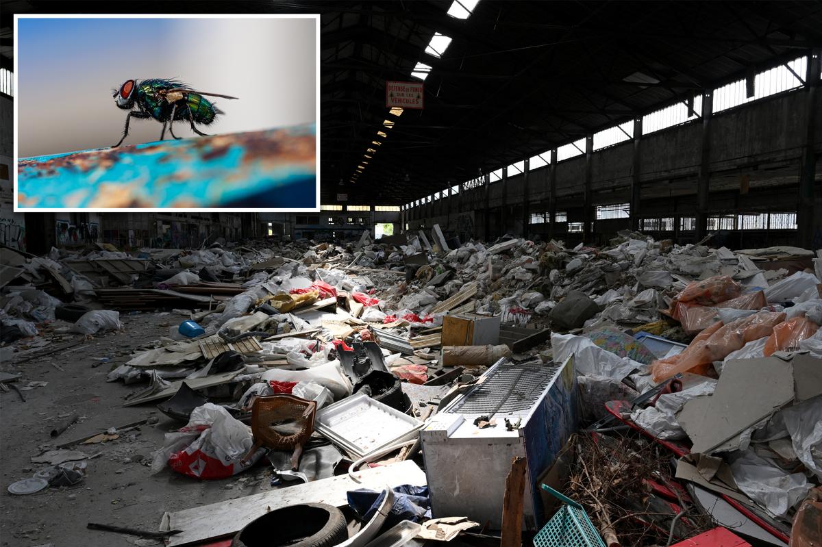 Bolye Heights warehouse food waste could fuel insect-borne disease