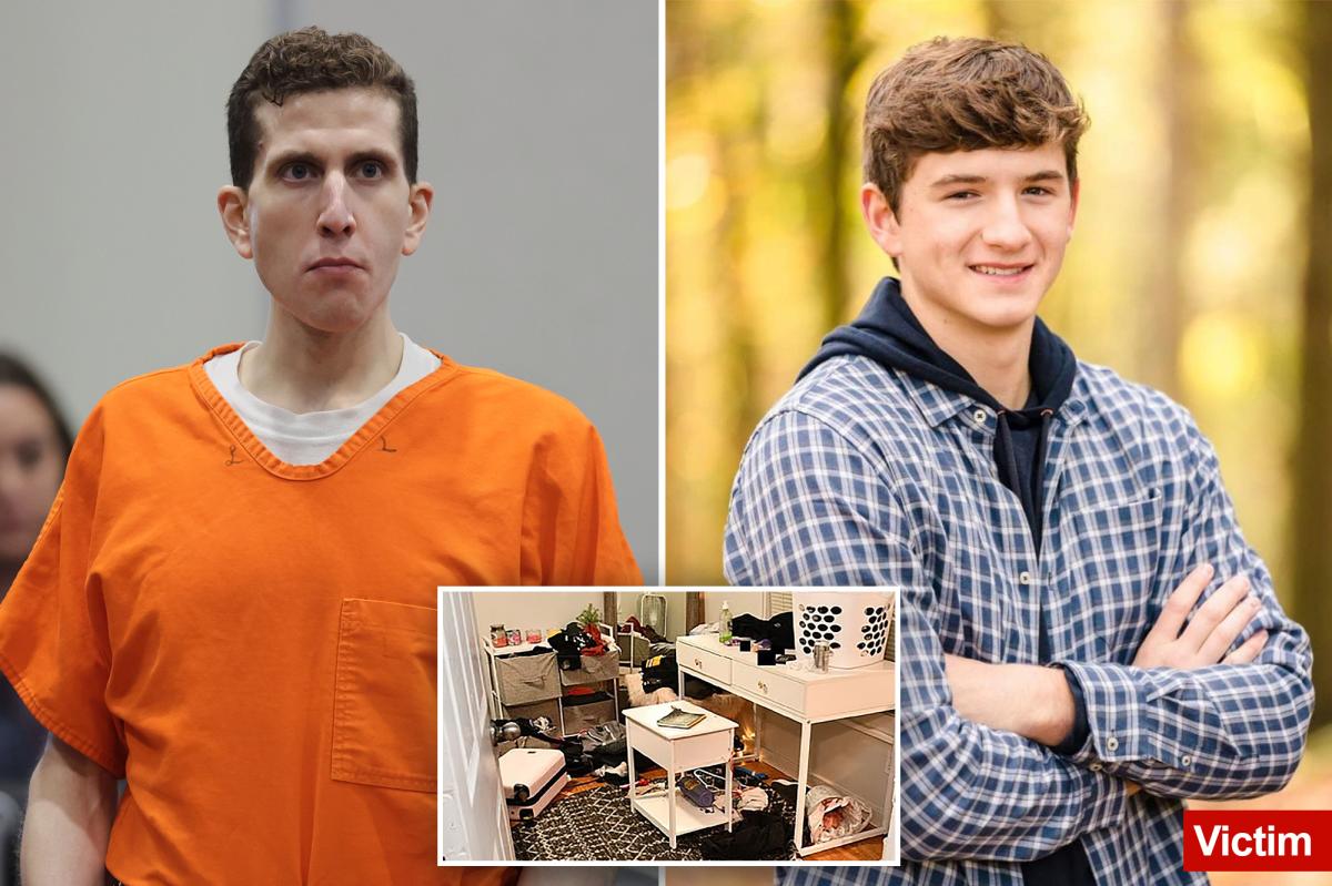 Bryan Kohberger's appeal hangs on a 'clump of hair' found in victim's hand