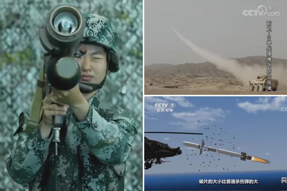 Iran to get Chinese shoulder-launched missile systems in weeks