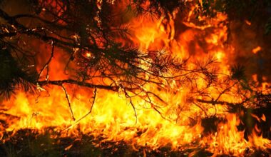 After France Swelters, Now It Burns