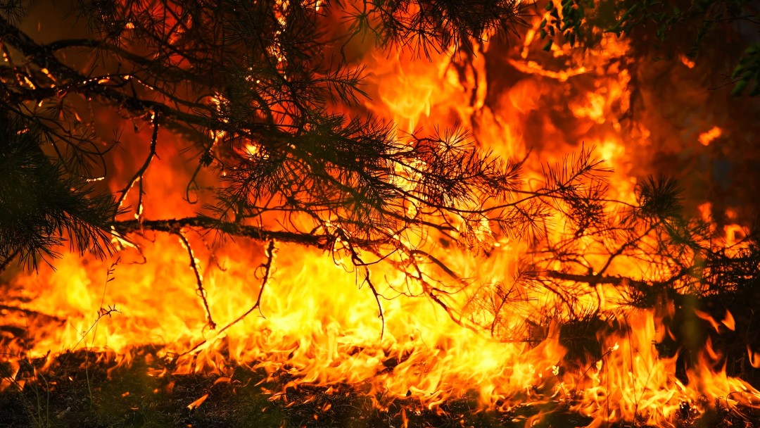 After France Swelters, Now It Burns