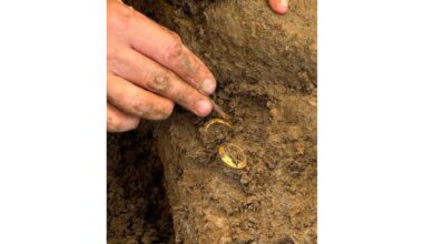 Site Yields Pair of 2K-Year-Old Gold Rings