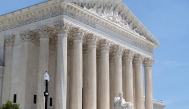 Trump Demands Rehearing in Birthright Citizenship Case