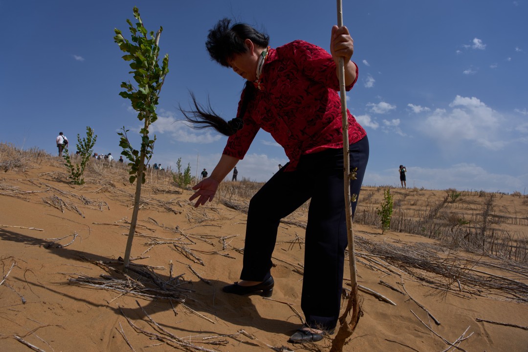 China Hopes 'Straw Checkerboards' Will Keep Desert at Bay