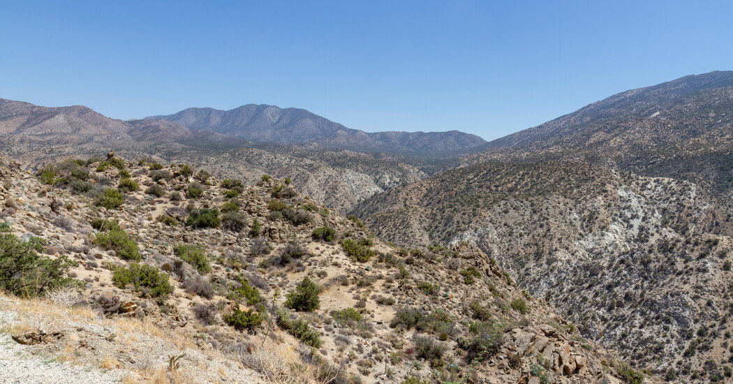 Remains of California Millionaire Who Vanished 45 Years Ago Are Identified