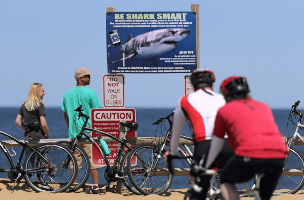 A sign warns beachgoers about sharks at Lecount Hollow Beach May 22, 2019 in Wellfleet, Mass. (AP Photo/Charles Krupa, File)