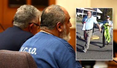 Anti-Israel protester sentenced to one year for Paul Kessler death