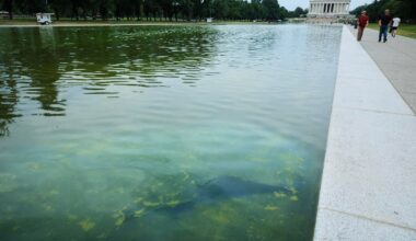 Former Olympian Indicted On Reflecting Pool Vandalism Charge