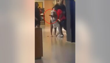 'Generally a safe mall': Two dead, three shot in Fairlane Town Center shooting in Dearborn