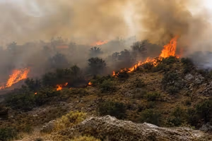 Wildfire burns through southern protected forests in Iran