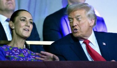 Claudia Sheinbaum vows legal action after ICE agent shoots Mexican