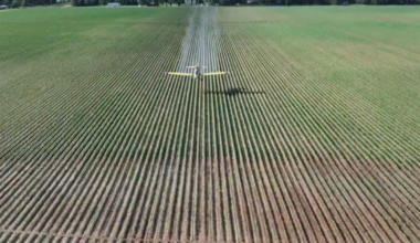 High energy costs from Iran war heighten pressure on struggling Louisiana farmers: "It's a game of survival"