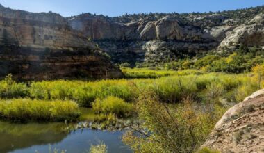 Trump Guts Two National Monuments 'At the Behest of Polluting Corporations Who Seek to Ravage Them'