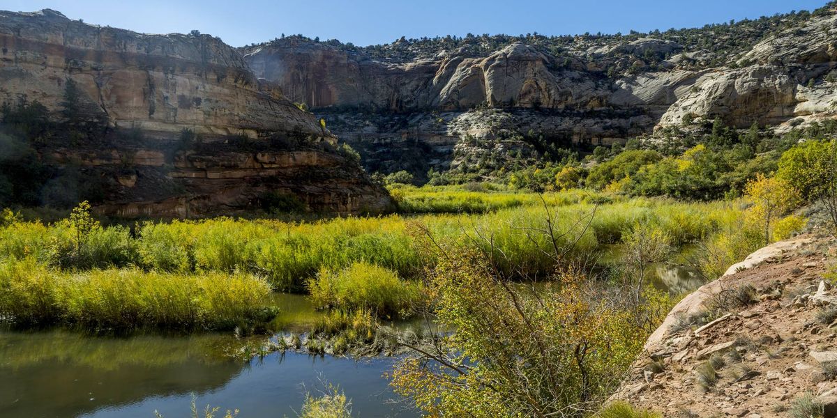Trump Guts Two National Monuments 'At the Behest of Polluting Corporations Who Seek to Ravage Them'