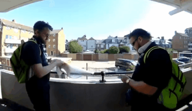 England vs Argentina: Portsmouth Council jobsworths seen cutting down England flag with knife ahead of World Cup semi-final