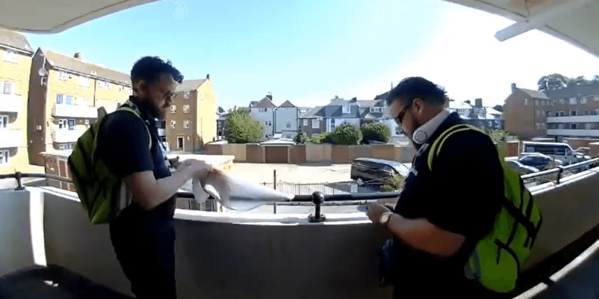 England vs Argentina: Portsmouth Council jobsworths seen cutting down England flag with knife ahead of World Cup semi-final