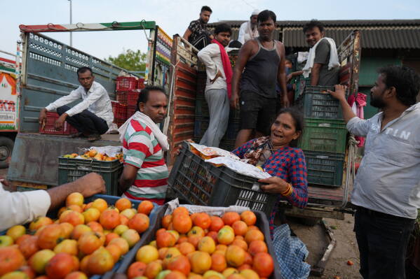 Munni Devi unloads tomatoes from a truck at a vegetable market in the early morning during a heat wave in Banda, northern Indian state of Utter Pradesh, Saturday, June 20 , 2026. (AP Photo/Rajesh Kumar Singh)