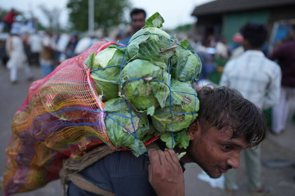A laborer carries vegetables at a market in the early morning during a heat wave in Banda, northern Indian state of Utter Pradesh, Saturday, June 20 , 2026. (AP Photo/Rajesh Kumar Singh)